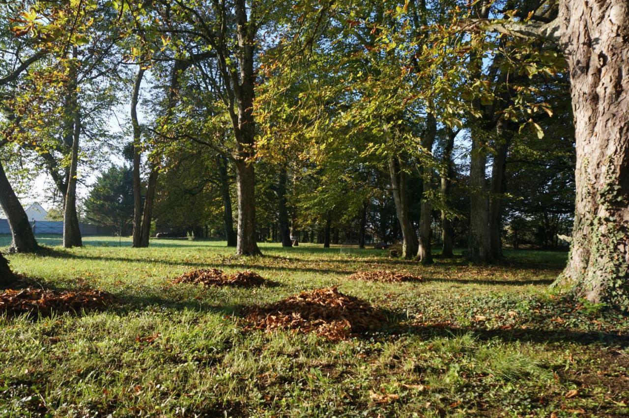 Domaine du Moulin à Vent - Gîte&SPA Saint-Florent-sur-Cher Extérieur photo