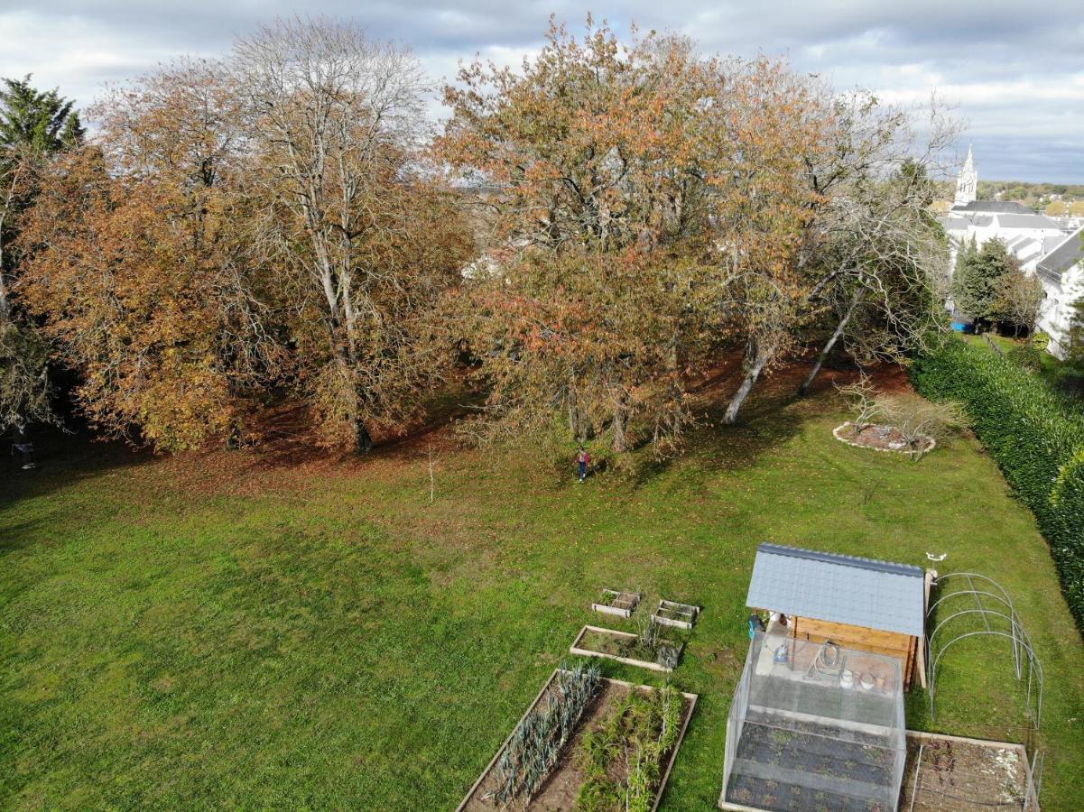 Domaine du Moulin à Vent - Gîte&SPA Saint-Florent-sur-Cher Extérieur photo